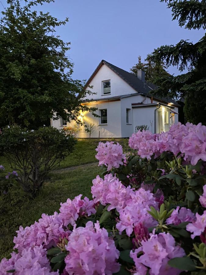 Gemuetliches Ferienhaus 슈프렘베르크 외부 사진